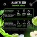 L-Carnitine 6000 Liquid - 1000 ml - Dosage extra lev avec 6000 mg de L-carnitine pure par portion journali re - Boisson prot in e aux acides amin s - Saveur d licieuse (Crazy Apple) - Vegan - Buy Online on GoSupps.com