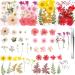 109 Piece Real Dried Pressed Flowers Set with Tweezers - Craft DIY Candle Resin Jewelry Nail Pendant Making Supplies - Buy Online on GoSupps.com