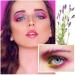 Glitter Eyeshadow Stick Set - Waterproof, Long Lasting, 5 Colors - Shimmer Eye Makeup Pencil Crayon - Buy Online on GoSupps.com