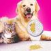 Vanish Pet Expert Carpet Cleaner | 750g Powder for Upholstery Care | Fights Dirt Hair & Urine Odor - Ideal for Large Areas - Buy Online on GoSupps.com