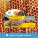 BIOHERBA NOLITY Shilajit & Propolis Hautsalbe 30 ml - Natural Skin Relief Cream for Irritation Muscle & Joint Pain - High-Quality Propolis Cream | PZN 18297302 - Buy Online on GoSupps.com