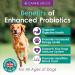 Canine Life Co. Probiotics For Dogs | High Strength 5 Billion CFU* | 10 Strains Of Good Bacteria | Allergy & Digestive Relief For Dogs | 300g Powder Made In UK (1 Pot (100g)) - Buy Online on GoSupps.com