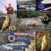 Maximumcatch Avid Series Fly Fishing Rollers - Large Arbor 1/3 to 9/10WT 5 Colors - Durable & Versatile for International Shipping - Buy Online on GoSupps.com