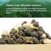Oriarm Taiwan Jasmine Oolong Green Tea - 100g Loose Leaf - Alishan High Mountain Wulong Tea - Natural Jasmine Flavor - Buy Online on GoSupps.com