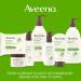 Aveeno Clear Complexion Foaming Facial Cleanser with Salicylic Acid - Pack of 3 | For Acne-Prone Skin | Sulfate-Free & Hypoallergenic - Buy Online on GoSupps.com