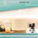 Qidosha Aroma Diffuser Tadasana | FAZ Test Winner Design 12/2023 | Premium Essential Oil Diffuser with Real Wood Base & Ceramic Hood | 10 Hours Operation | Warm-White Light - Buy Online on GoSupps.com