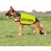 Protective Dog Jacket Vest Stay Back Protective Dog Vest Dog Walking Slogan Warning Vest (Protective Dog-Medium) - Buy Online on GoSupps.com