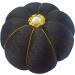 CUSHYSTORE Velvet Wrist Pin Needle Cushion - Adjustable Elastic Strap - Black - Buy Online on GoSupps.com