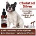 PetSilver Teeth & Gum Spray for Dogs and Cats - Chelated Silver Formula - Made in USA - 4 oz - Buy Online on GoSupps.com