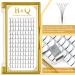 Premium 6D Eyelash Extensions - C Curl 0.10mm - 12mm Long Fan - Volume Technology - International Shipping - Buy Online on GoSupps.com