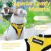 Rabbitgoo Cat Dishes & Soft Harness Set | No Breakout Cat Harness for Ultimate Comfort - Buy Online on GoSupps.com