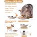 VENTION Stainless Steel Shallow Cat Food Bowls Set of 4 - 5 7/10 Inch - Dishwasher Safe Metal Dishes for Elevated Stand, Whisker Fatigue Relief - Buy Online on GoSupps.com