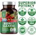 N1N Premium Kidney Cleanse | Natural Support for Urinary Tract & Bladder Control with 21 Potent Herbs including Cranberry Extract, Astragalus, and Uva Ursi Leaf | 60 Veg Caps - Buy Online on GoSupps.com