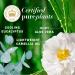 Herbal Essences Bio: Renew Aloe & Eucalyptus Conditioner - Scalp Balance 13.5 Oz | International Shipping - Buy Online on GoSupps.com