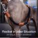 Freudenier Adjustable Dog Leash for Medium & Large Dogs - 2m Robust Nylon with Brown Leather Elements - Perfect for Chasing - Buy Online on GoSupps.com