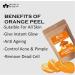 Blessfull Healing Organic 100% Pure Natural Orange Peel Powder | 100 Gram / 3.52 oz Pack Of 2 - Buy Online on GoSupps.com