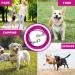 Haiyuan Dog Tie Out Cable - 10/15/20/25/30 FT Steel Wire Dog Runner Durable Clips Pink Dog Chain for Outdoors Supports Dogs up to 165 LBS - Buy Online on GoSupps.com