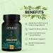 Bacopa Monnieri Brahmi Capsules - 500mg 120 Tablets | | Bacopa Extract | Non - GMO | Gluten & Allergen Free | Brain Supplement | 100% Natural Ingredients | By Ambrosial 60 count (Pack of 2) - Buy Online on GoSupps.com