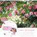 volumoon 160 Sheets Oil Blotting Paper for Face Oil Control Blotting Paper Oil Absorbing Paper for Face Soft Facial Oil Control Film (Pink) - Buy Online on GoSupps.com