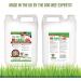 Wee Free No Smell Gel 5L Artificial Grass Enzyme Cleaner Spray. Dog Wee Neutraliser for Grass and Deodoriser for Astro Turf Fake Grass and Lawn. Outdoor Pet Odour Eliminator for your Garden. - Buy Online on GoSupps.com