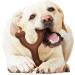 Nylabone Wishbone Dog Chew Toy for Adult Dogs - Bison Large/Giant Size | Durable Ergonomic Design | For Puppies and Adult Dogs | 1 Count - Buy Online on GoSupps.com