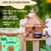 Torgenn Mealworms 500g | Nutrient-Rich Food for Wild Birds Fish & Turtles | 100% Natural & GVO-Free | Dried Mealworms for Pets - Buy Online on GoSupps.com