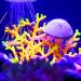 Buy VOCOSTE Silicone Glowing Aquarium Simulation Coral - Purple Violet with Suction Cup for International Shipping - Buy Online on GoSupps.com