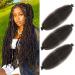 LPARMJIT Springy Afro Twist Hair 24 inch 3 Prevents Kinky Marley Twist Braid Hair for Soft Butterfly Locs Pre-Fluffed Afro Twist Hair extensions (24inch (Pack of 3) 4#) 24inch (Pack of 3) 4#