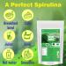 neotea Organic Spirulina Powder | Nutrient-Dense Superfood Supplement | Rich in Protein Vitamins & Antioxidants | Immune Support | Non-GMO Vegan Gluten-Free | No Additives (100 GM(3.52 OZ)) - Buy Online on GoSupps.com