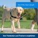 Buy PetSafe Easy Walk Harness - Anti-Pull Dog Harness (Size M Pink) with 1.8M Leash | Reduces Choking & Coughing - Shop Internationally! - Buy Online on GoSupps.com