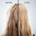 Buy Stem+ Scalp Serum Leave-On Treatment for Oily & Dry Scalp | Repairs Strengthens & Nourishes | Sulfate-Free Paraben-Free Vegan | 1 Fl Oz - Buy Online on GoSupps.com