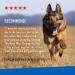 Adams Plus Flea & Tick Collar for Large Dogs & Puppies | 7-Month Protection | Kills Fleas, Flea Eggs, Larvae & Ticks - Buy Online on GoSupps.com