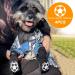 Anti-Slip Dog Socks for Small & Medium Dogs - 2 Pairs of Double-Sided Paw Protection with Traction Control for Hardwood Floors - Buy Online on GoSupps.com