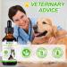 Yeast Infection Treatment for Dogs Natural Ear Infection Treatment Dog Allergy Relief Supports Itchy Skin Relief Skin and Coat Support Inflammation Relief for Dogs Herbal Supplement - 60ml - Buy Online on GoSupps.com