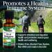 Nature's Answer Oil of Oregano Leaf - Supports Healthy Intestinal & Digestive Function - Promotes Overall Wellness - Gluten-Free, Alcohol-Free & Preservative-Free - 1oz - Buy Online on GoSupps.com