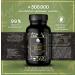 Luondu Green Tea Extract Capsules - High-Dose 2250mg | 90 Vegan Capsules with 339mg EGCG & 1125mg Polyphenols - Premium Quality Green Tea Supplement - Buy Online on GoSupps.com