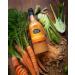 The Cultured Food Company Organic Carrot & Fennel Sauerkraut Juice 2 x 500ml Bottle Sweet & Sour Elixir - Raw Unpasteurised & Enzyme-Rich Orange Orange 500 ml (Pack of 2) - Buy Online on GoSupps.com