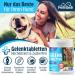FELLNASE Joint Tablets for Dogs - Premium Food with Fully Transparent Recipe and Sugar Free - Premium Quality - Made in Germany - 100 Tablets - Buy Online on GoSupps.com