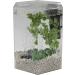1 Gallon Hexagon Tetra Bubbling LED Aquarium Kit with Color-Changing Light Disc - Buy Online on GoSupps.com
