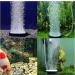 Hzyclzh Air Stone Disc - Premium Aquarium Air Stone for Fish Tanks Ponds & Aquaculture - Oxygen Stone for Enhanced Water Aeration - Buy Online on GoSupps.com
