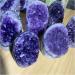 Natural Crystal Rough 1 pc Natural Purple Crystal Geode Rough Stone Amethyst Cluster Freeforms 1pc (Color : 700-790g) - Buy Online on GoSupps.com