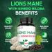 Satoomi Lions Mane with Ginkgo Biloba Supplement - 60 Capsules - Extra Strength for Restful Mind, Brain Health, Immune System & Focus - Gluten-Free, Non-GMO - Buy Online on GoSupps.com