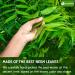 Lavendium Premium 500g (17.6oz) Neem Leaf Powder 100% Natural and Pure from Neem Leaves Neem Leaves Herbal Tea No Additives No Gluten No Sugar Vegan CA Neem 500 Gr - Buy Online on GoSupps.com