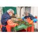 ROSALYN Premium Atlantic Canada Wild Caught Sea Cucumber Dried - CFIA Certified | High Protein, Vitamins & Minerals | Butterfly Cut - 454g (1lb) - Buy Online on GoSupps.com