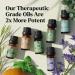 Lagunamoon Essential Oils Gift Set - 6 Pure 10ML Oils for Diffuser, Massage, Aromatherapy & Skin Care - Buy Online on GoSupps.com