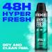 AXE Apollo Deodorant Spray 48 Hour Odor Protection Fresh Sage and Cedarwood 4oz Pack of 4 | Aluminum-Free, Residue-Free - Buy Online on GoSupps.com