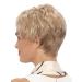Shop Degenhardt Wig KIEL Naturell Plus - High-Quality Synthetic Hair in Rock Crystal Beige Blonde | Perfect for Natural Look - Buy Online on GoSupps.com