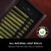 King Palm Mini Size Natural Pre Wrap Palm Leaf Cones - 25 Pack - Organic Prerolled Cones with Corn Husk Filter - Buy Online on GoSupps.com