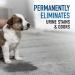 Hoover Oxy Pet Urine & Stain Eliminator Carpet Cleaning Shampoo 50oz AH31955 - Buy Online on GoSupps.com