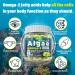 Algae Omega 3 Gummies + Marine Algae Calcium Gummies Bundle - Buy Online on GoSupps.com